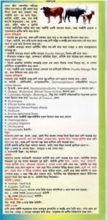 Bionil Oil Spray 5Litre - Image 6
