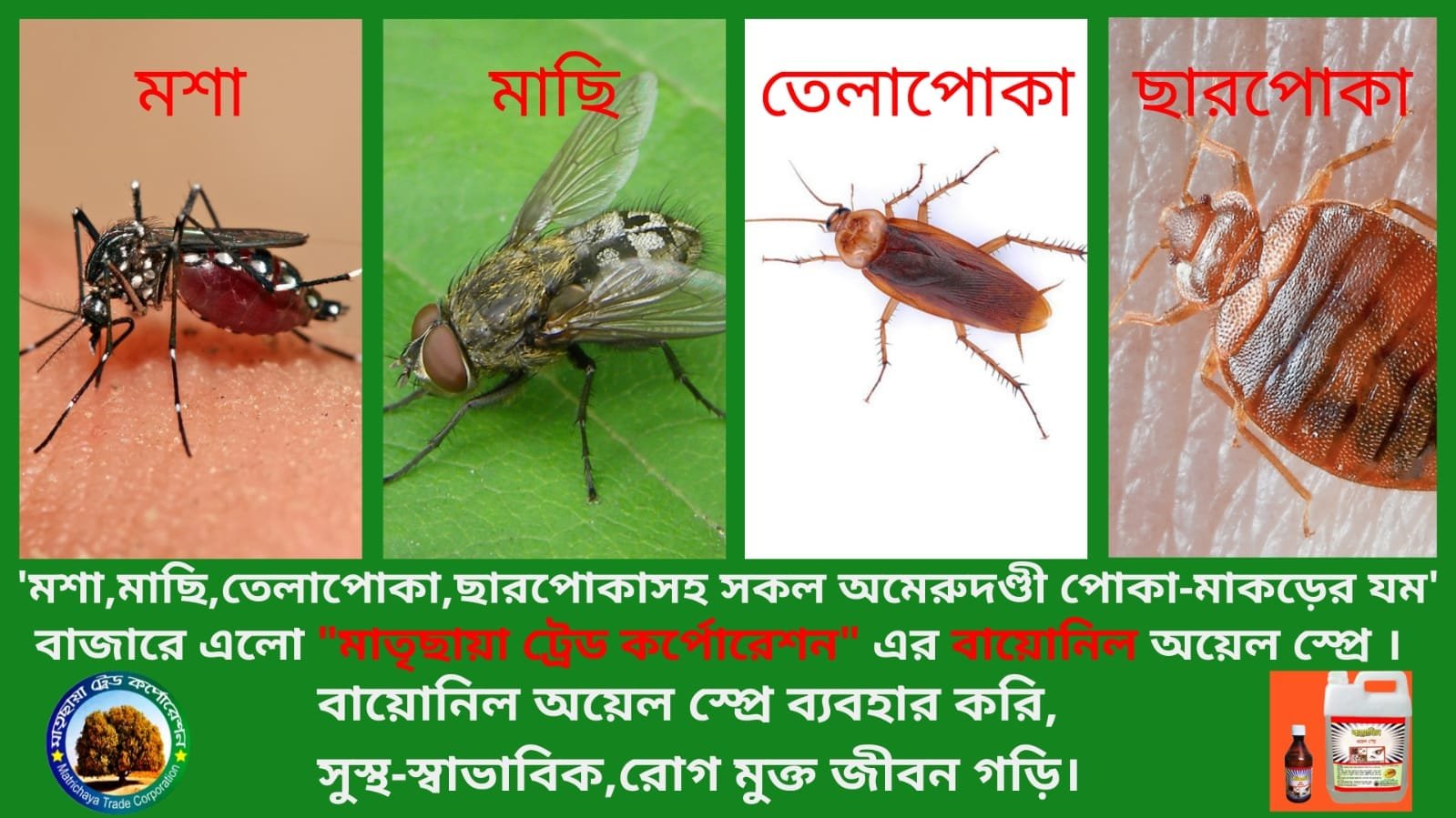 470161434_122128238108467439_2385207707980009109_n