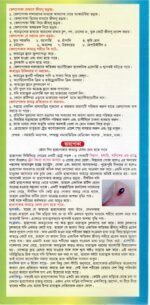 Bionil Oil Spray 5Litre - Image 9